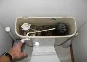 Конденсат на бачке унитаза: как избавиться с видео